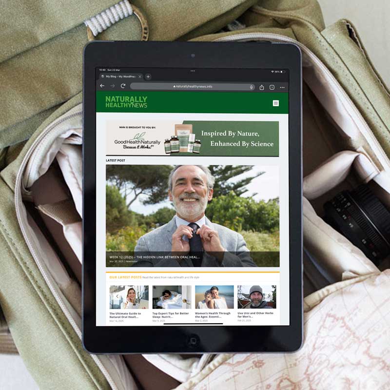 Portfolio-Web-NHN-02 mudanzas mallorca, moving company mallorca, mudanzas palma de mallorca, web design mallorca, moving services website, storage company mallorca, wordpress website development, mudanzas lidon, ecommerce and web development mallorca, relocation services mallorca