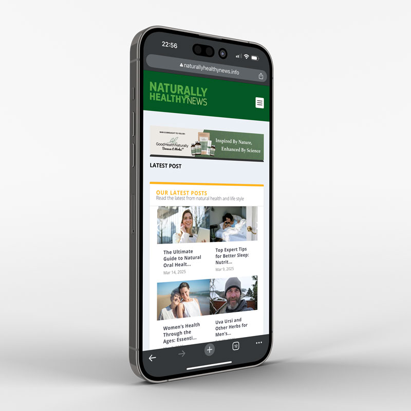 Portfolio-Web-NHN-03 mudanzas mallorca, moving company mallorca, mudanzas palma de mallorca, web design mallorca, moving services website, storage company mallorca, wordpress website development, mudanzas lidon, ecommerce and web development mallorca, relocation services mallorca
